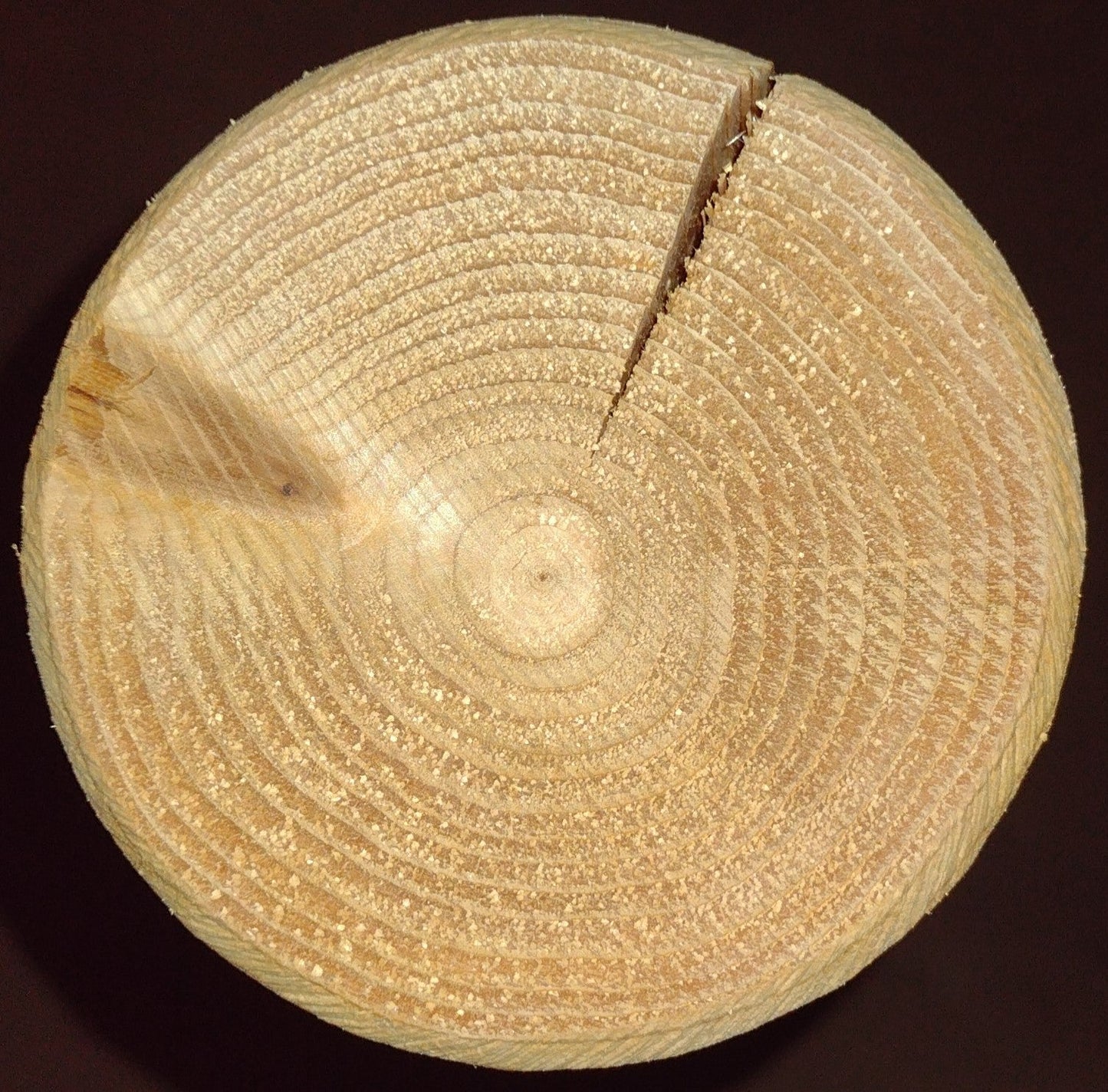 Cross-section of a wooden log used in a farmhouse outdoor table and chairs set, illustrating growth rings and rustic character.