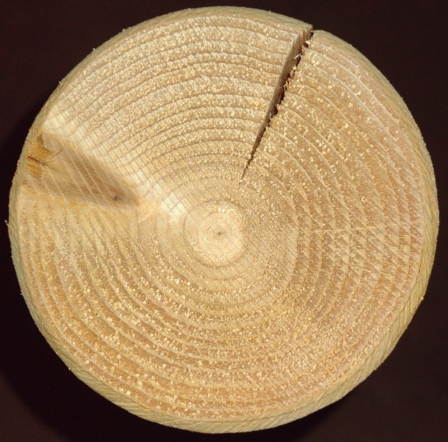 Cross-section of a wooden log used in a farmhouse outdoor table and chairs set, illustrating growth rings and rustic character.